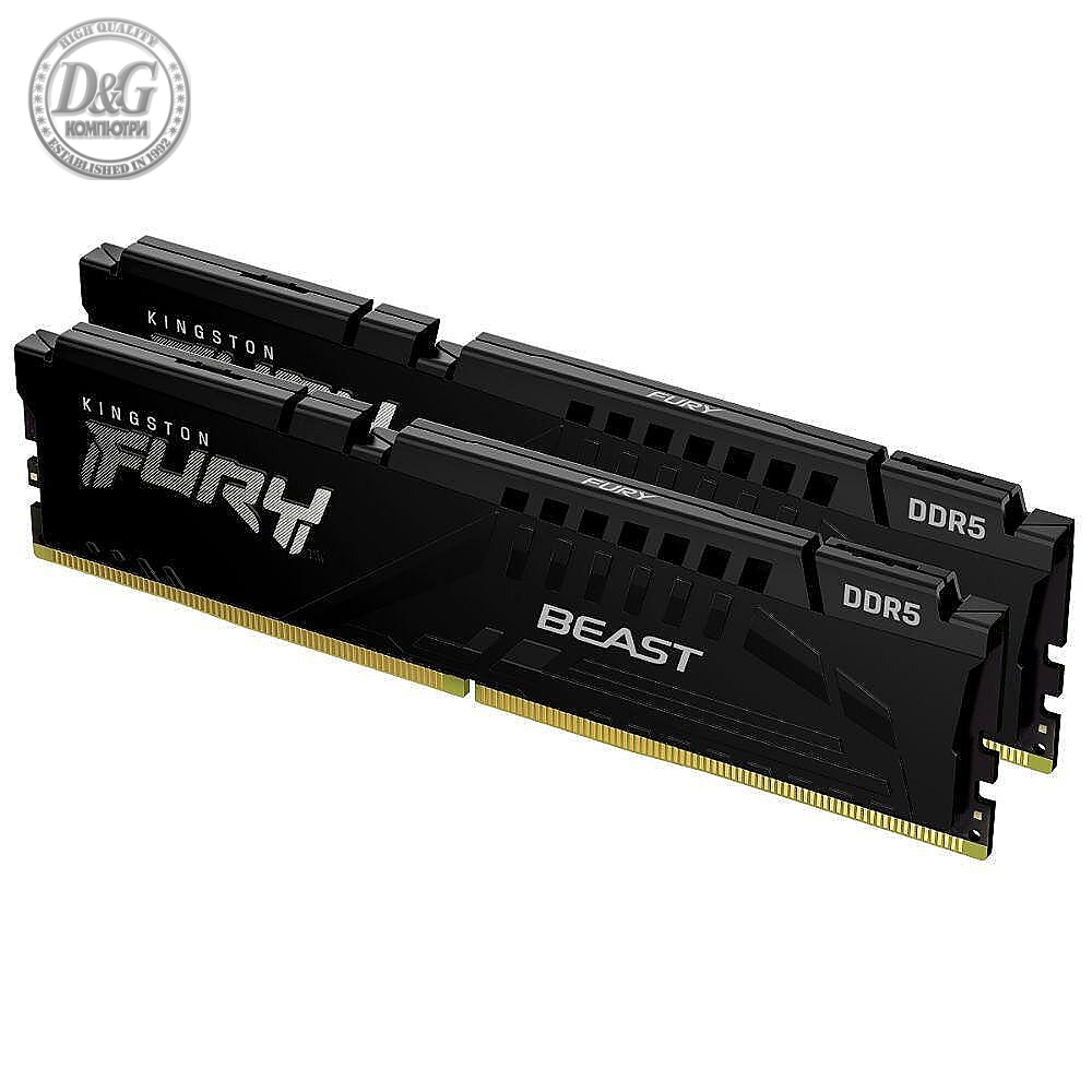 2X1G DDR5 5600 KING FURY BEAST