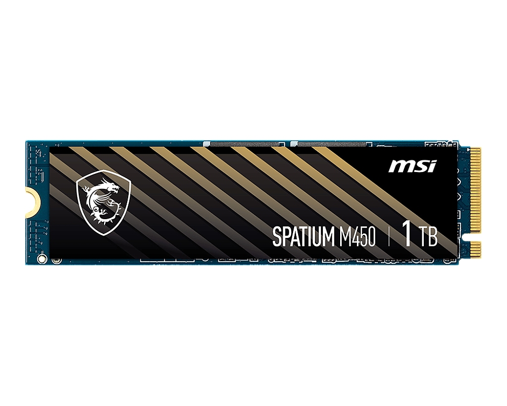 MSI SSD SPATI M450 1T V1 BULK
