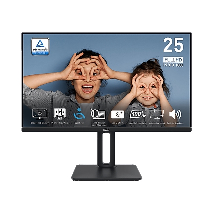 MSI 24.5 PRO MP251P