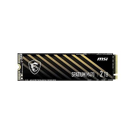 MSI SSD SPATIUM M470 PRO 2T