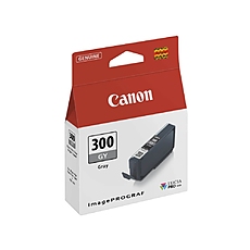 Canon PFI-300 GY