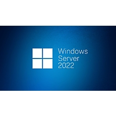 Windows Server CAL 2022 English 1pk DSP OEI 1 Clt Device CAL