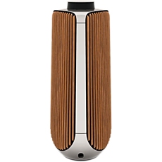 BeoLab 50  S , silver - STAGED