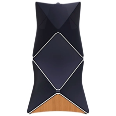 BeoLab 90, Silver/Parisian Night S2 - STAGED