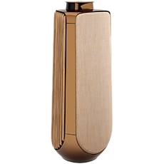 BeoLab 50 Gold Tone M2 - STAGED