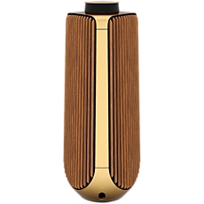 BeoLab 50 Front Cover Golden - STAGED