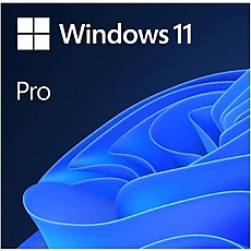 WIN 11 PRO 64BIT ENG USB FPP