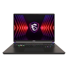 MSI VECTOR 17 HX A13VHG-693BG
