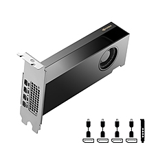 PNY Nvidia RTX 2000 16GB GDDR6 ADA Gen. LP