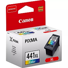 Canon CL-441 XL + Canon Plus Glossy II PP-201, 10x15 cm, 100 sheets