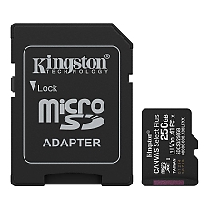 256G SDMIC KINGS CANVAS SEL+A1