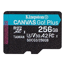 256G SDMIC KINGST CANVAS GO+
