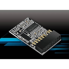 TPM-S /BULK MB MODULE